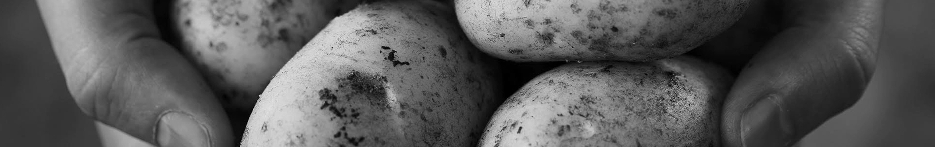 Aardappel header