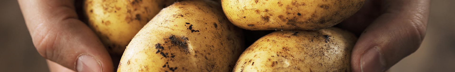 Aardappel header